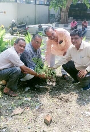  श्री वैश्य अग्रवाल सभा द्वारा मुक्तिधाम में किया वृषारोपण