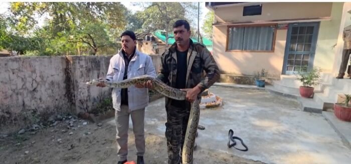  गणतंत्र दिवस पर जंगल के  सिपाहियों ने ज़हरीले साँपों को दिया जीवनदान: देखें वीडियो